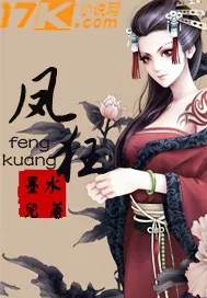 《凤狂》小说封面