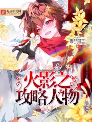 《火影之攻略人物》小说封面