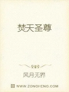 《焚天圣尊》小说封面