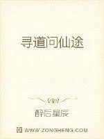 《寻道问仙途》小说封面