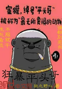《狂暴平头哥》小说封面