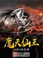 《魔天仙王》小说封面