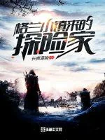 《格兰小镇来的探险家》小说封面