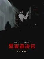 《黑夜裁决官》小说封面