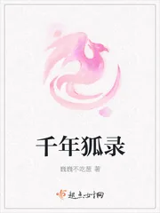 《千年狐录》小说封面