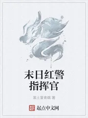 《废土指挥官》小说封面