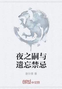 《夜之嗣与遗忘禁忌》小说封面