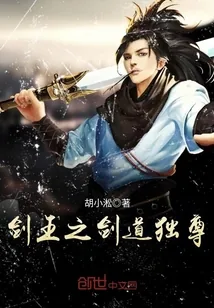 《剑王之剑道独尊》小说封面
