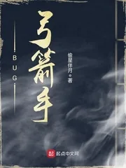 《BUG弓箭手》小说封面