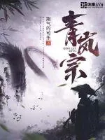 《青岚宗》小说封面