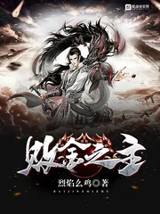 《败金之主》小说封面