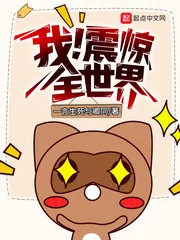 《我！震惊全世界》小说封面