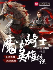 《魔法骑士英雄传说》小说封面