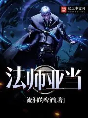 《法师亚当》小说封面