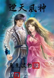 《逆天风神》小说封面