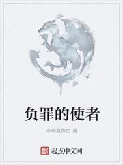 《负罪的使者》小说封面