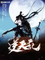 《逆天乱》小说封面