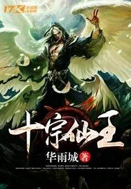 《十宗仙王》小说封面