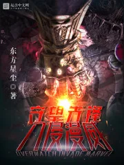 《守望先锋入侵美漫》小说封面