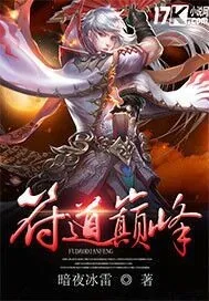 《符道巅峰》小说封面