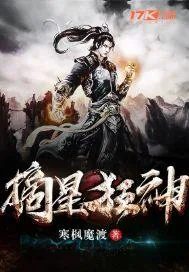 《摘星狂神》小说封面