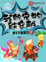 《我的宠物能穿越》小说封面