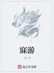 《寐游》小说封面