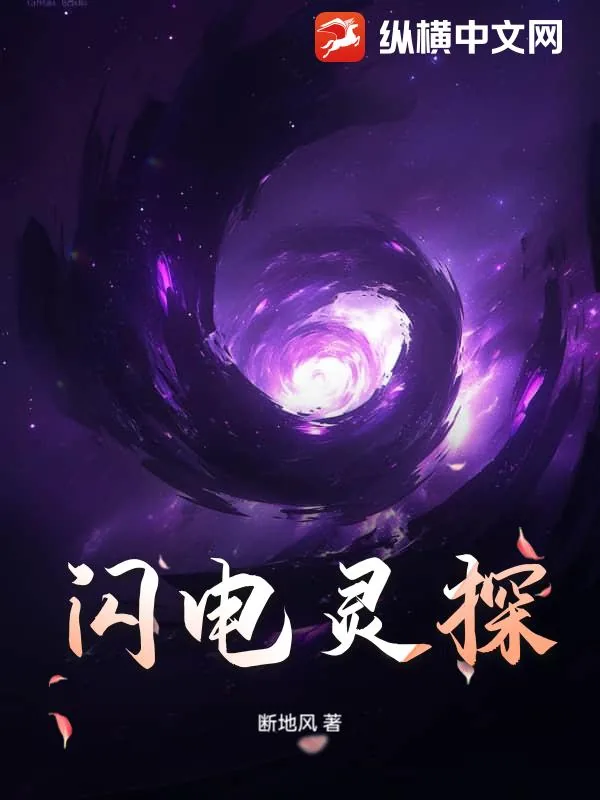 《闪电灵探》小说封面