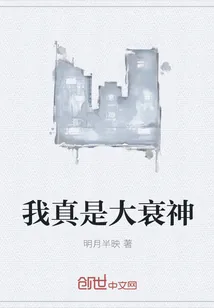 《我真是大衰神》小说封面
