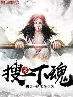 《来搜一下魂》小说封面