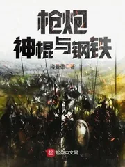 《枪炮神棍与钢铁》小说封面