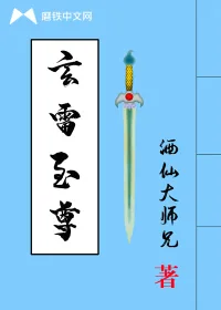《玄雷至尊》小说封面