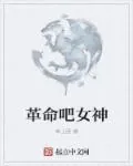 《革命吧女神》小说封面