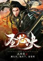《天地圣龙决》小说封面