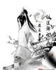 《剑道师祖2》小说封面
