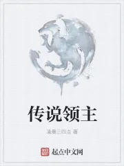 《传说领主》小说封面
