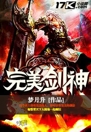 《完美剑神》小说封面