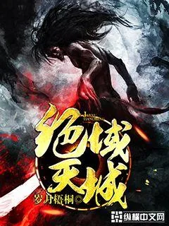 《绝域天城》小说封面