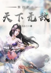 《我的老婆天下无敌》小说封面