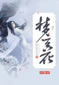 《梦玄花》小说封面