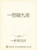 《一怒破九霄》小说封面