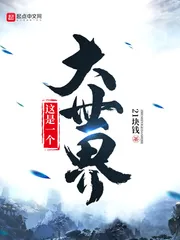 《这是一个大世界》小说封面