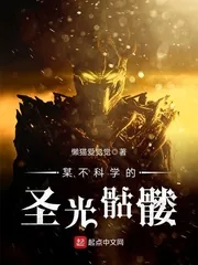 《某不科学的圣光骷髅》小说封面