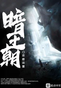 《暗王朝》小说封面