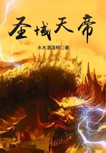 《圣域天帝》小说封面