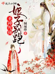 《圣神驾到，娘子别跑》小说封面