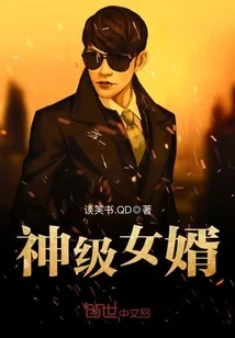 《神级女婿》小说封面