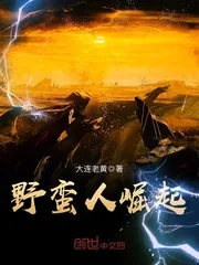 《野蛮人崛起》小说封面