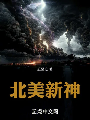 《北美新神》小说封面