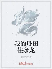 《我的丹田住条龙》小说封面